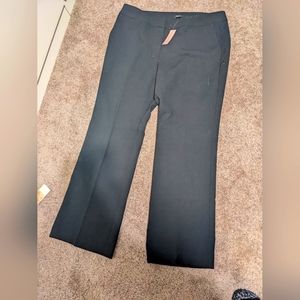 Ann Taylor Petite Work pants NWT